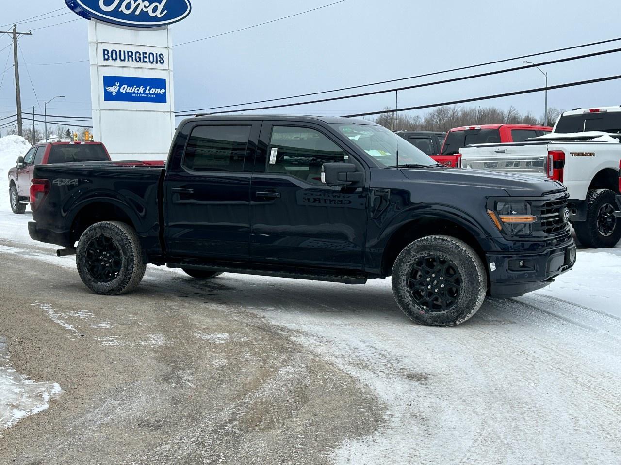 2025 Ford F-150 XLT 4WD SuperCrew 5.5' Box Photo4