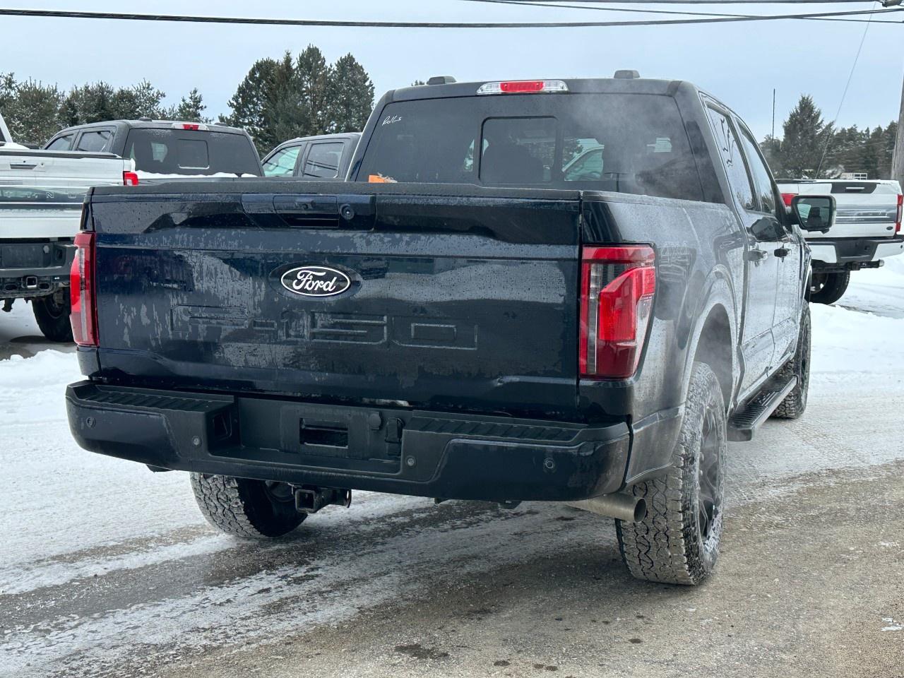 2025 Ford F-150 XLT 4WD SuperCrew 5.5' Box Photo