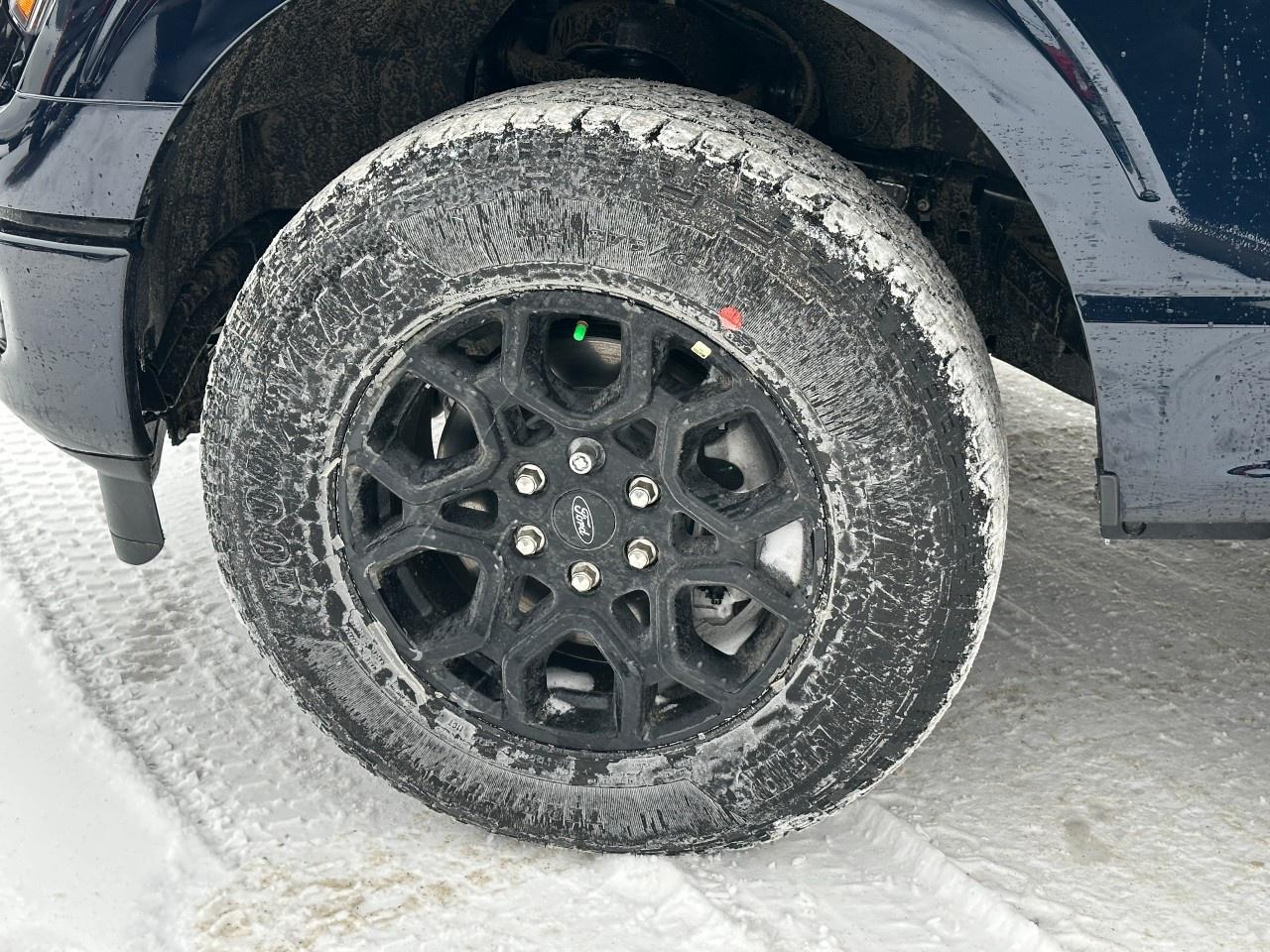 2025 Ford F-150 XLT 4WD SuperCrew 5.5' Box Photo