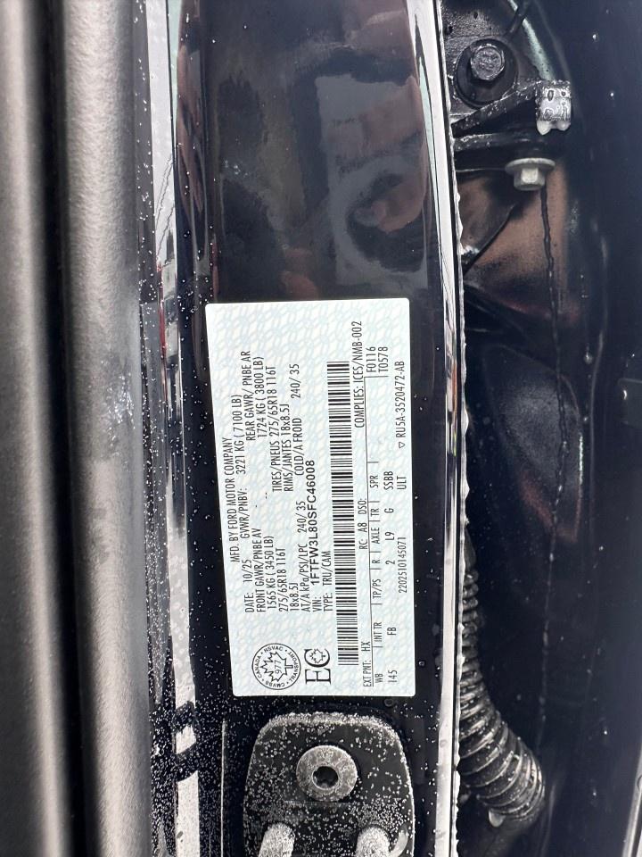 2025 Ford F-150 XLT 4WD SuperCrew 5.5' Box Photo