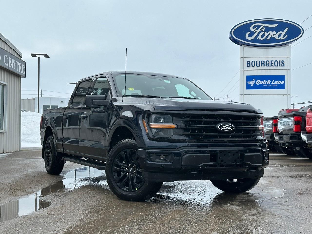 2025 Ford F-150 XLT 4WD SuperCrew 5.5' Box Photo