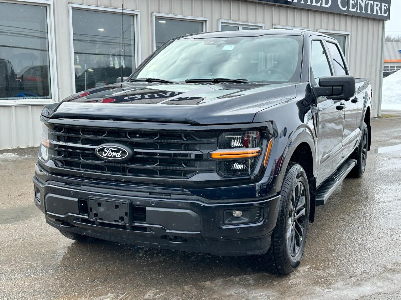 2025 Ford F-150 XLT 4WD SuperCrew 5.5' Box Photo