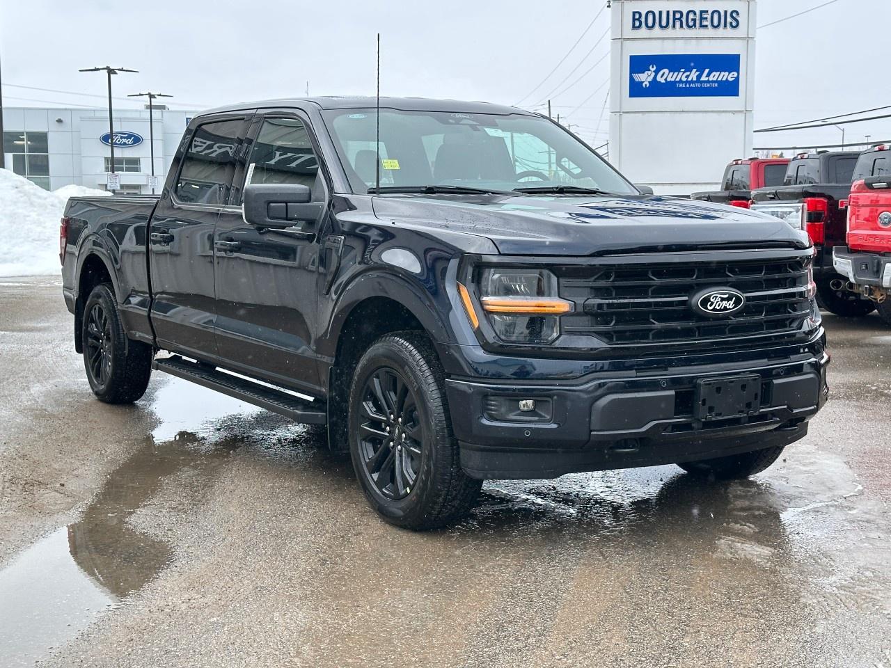 2025 Ford F-150 XLT 4WD SuperCrew 5.5' Box Photo