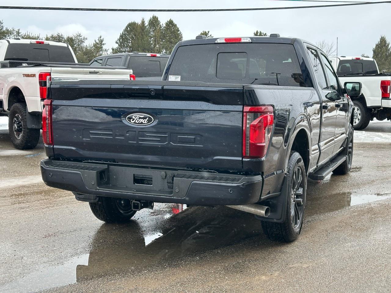 2025 Ford F-150 XLT 4WD SuperCrew 5.5' Box Photo