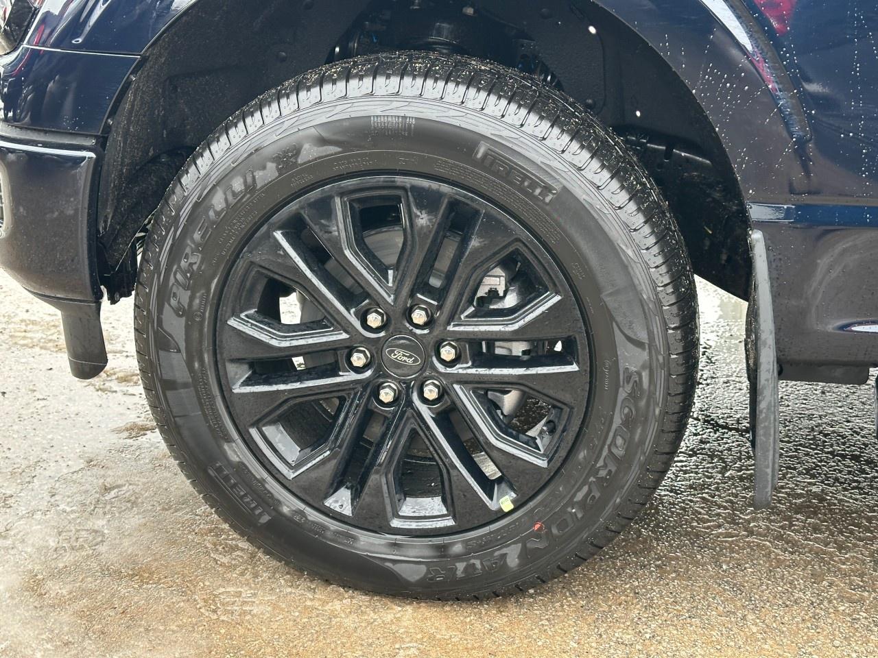 2025 Ford F-150 XLT 4WD SuperCrew 5.5' Box Photo