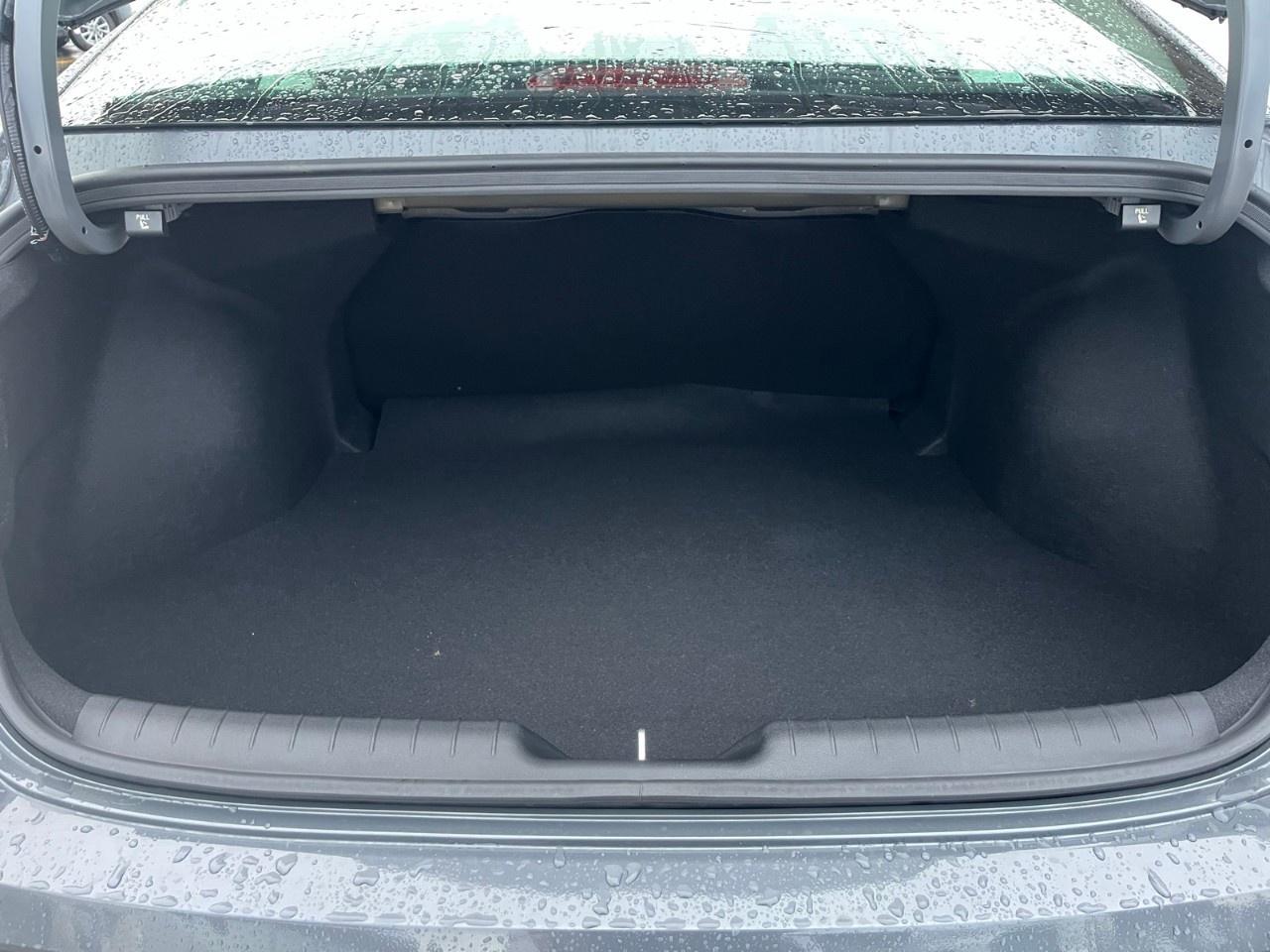 2026 Hyundai Elantra Essential IVT Photo