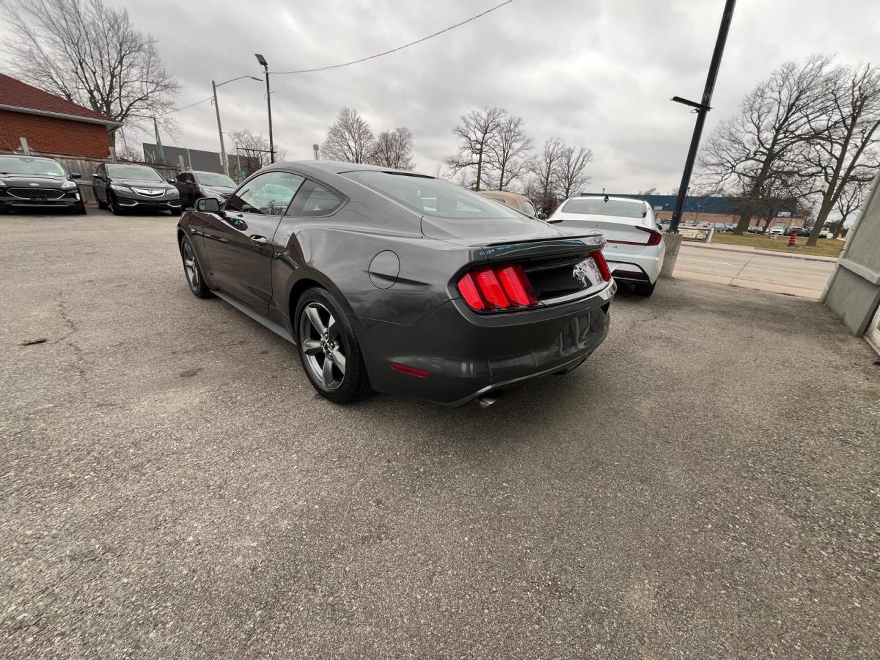 2017 Ford Mustang Fastback V6 Photo