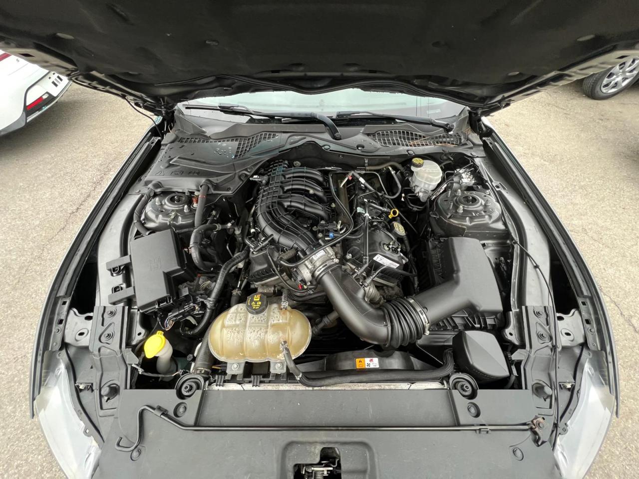 2017 Ford Mustang Fastback V6 Photo