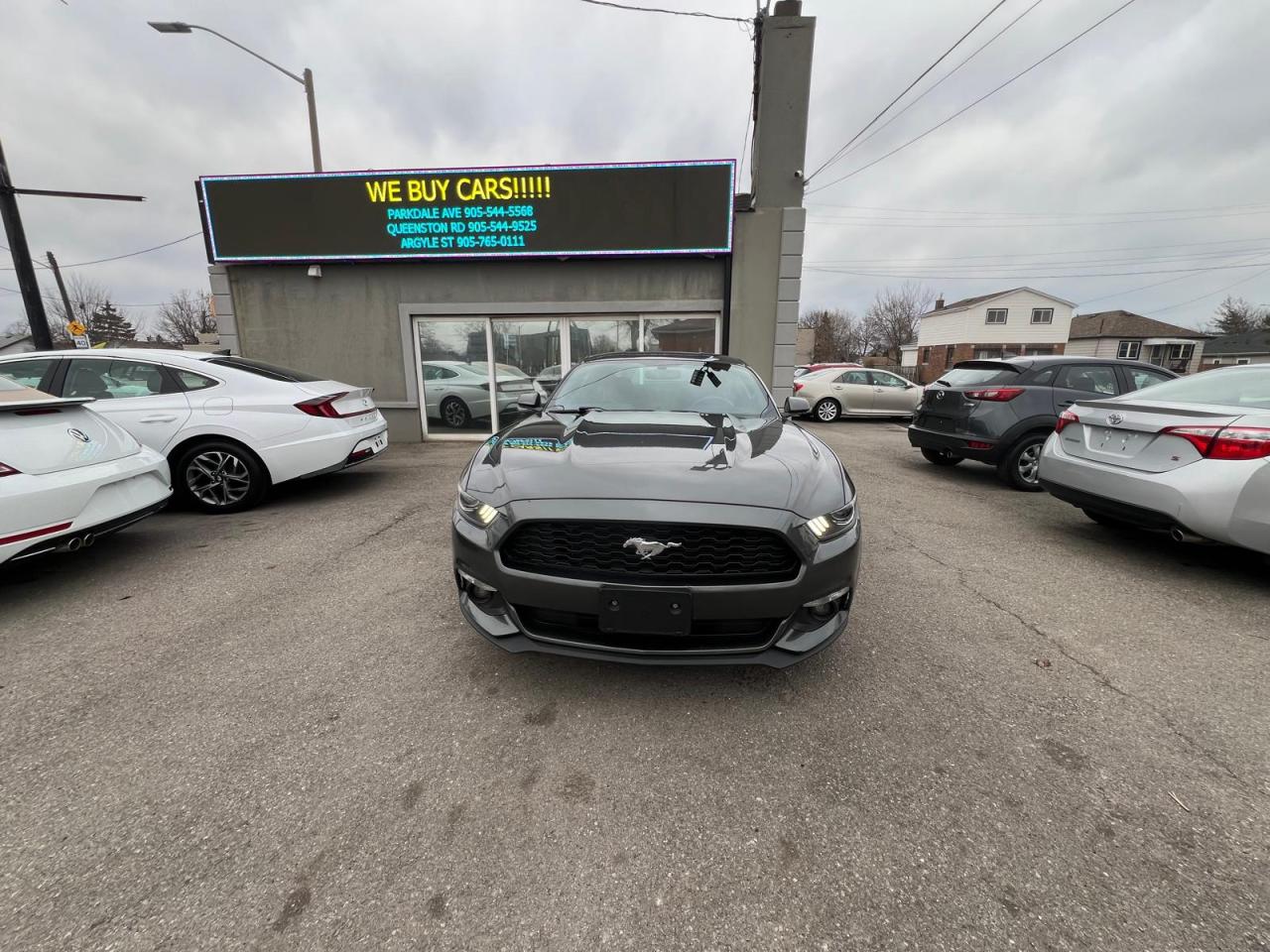 2017 Ford Mustang Fastback V6 Photo