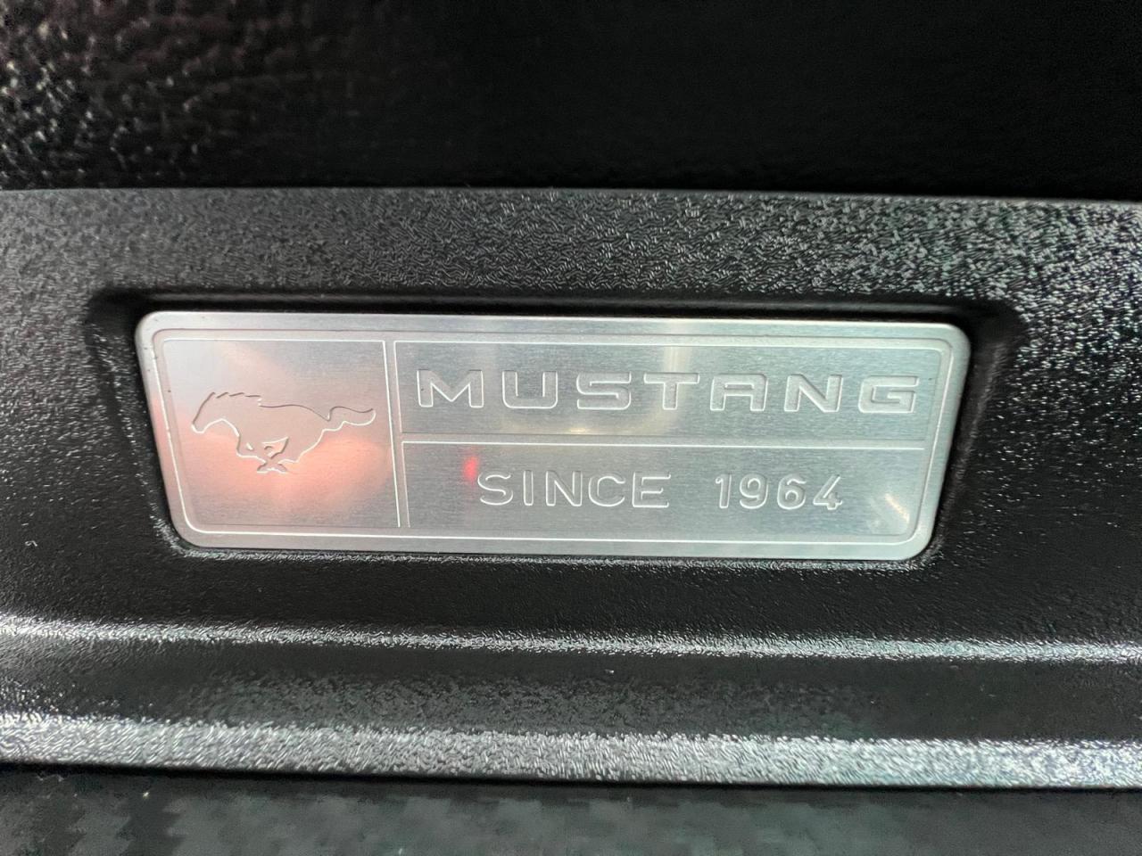 2017 Ford Mustang Fastback V6 Photo