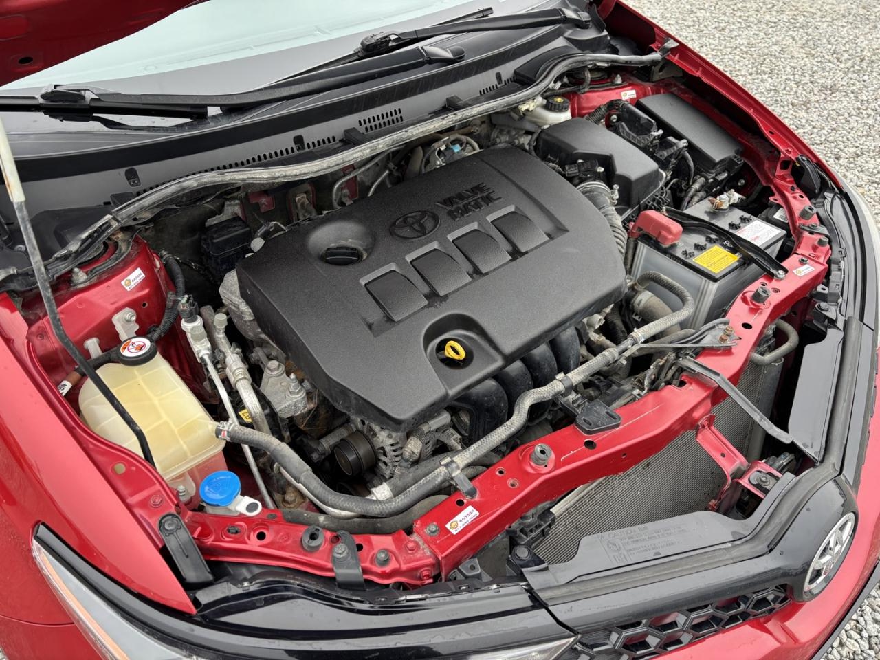 2018 Toyota Corolla IM 6M Photo