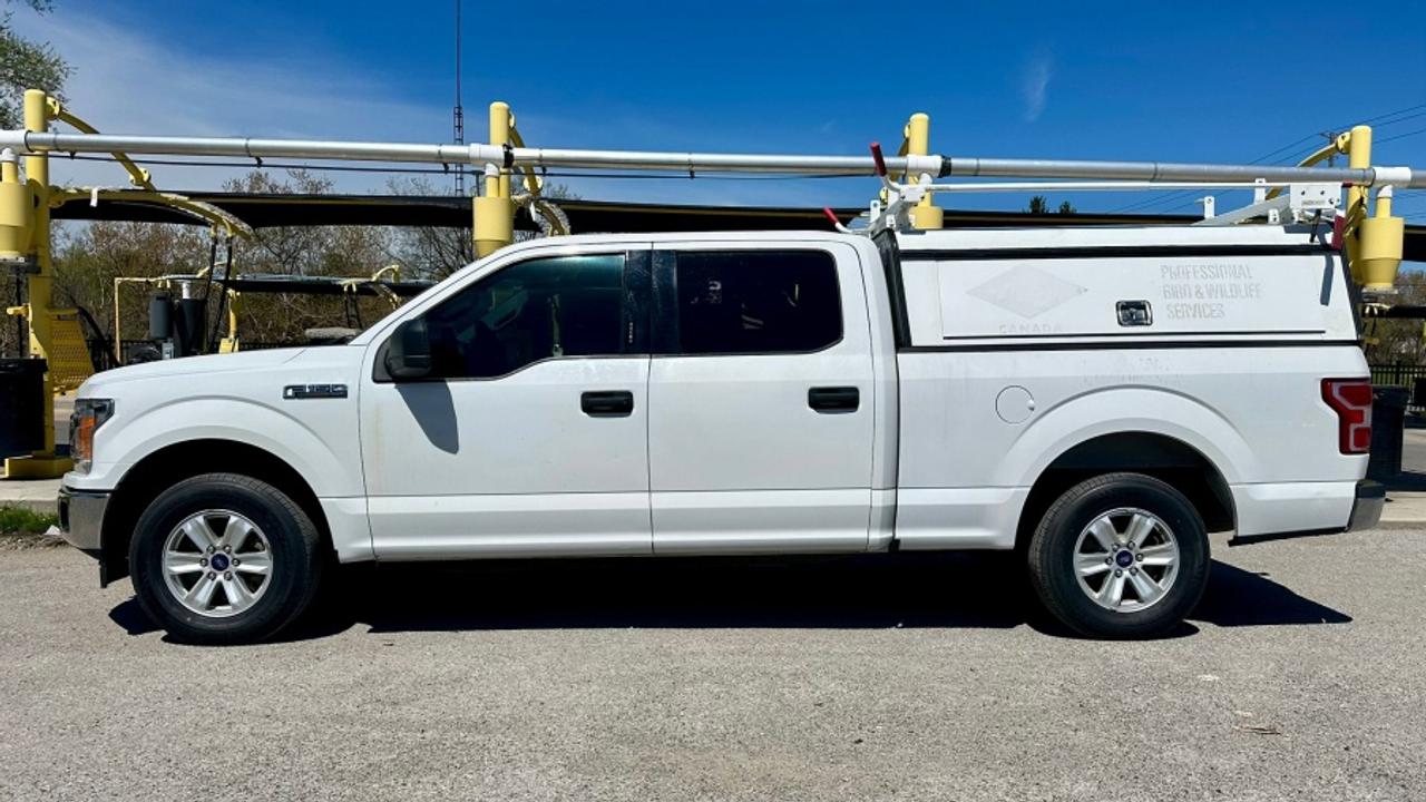 2020 Ford F-150 * XLT * NO ACCIDENTS XLT Photo