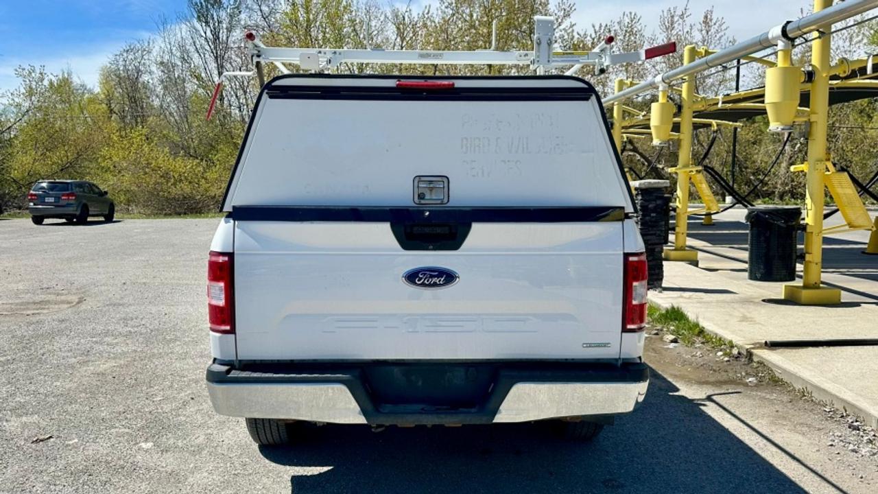 2020 Ford F-150 * XLT * NO ACCIDENTS XLT Photo