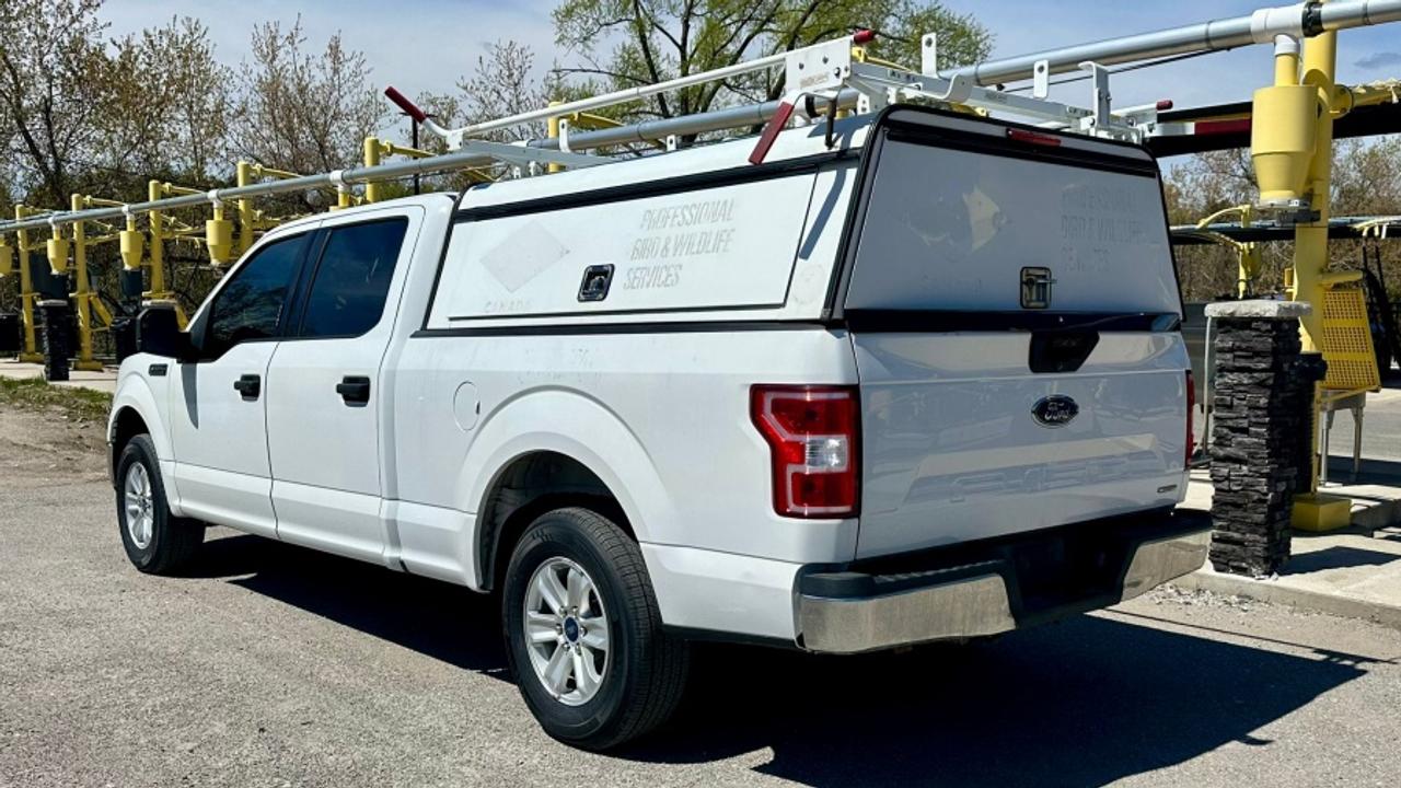 2020 Ford F-150 * XLT * NO ACCIDENTS XLT Photo