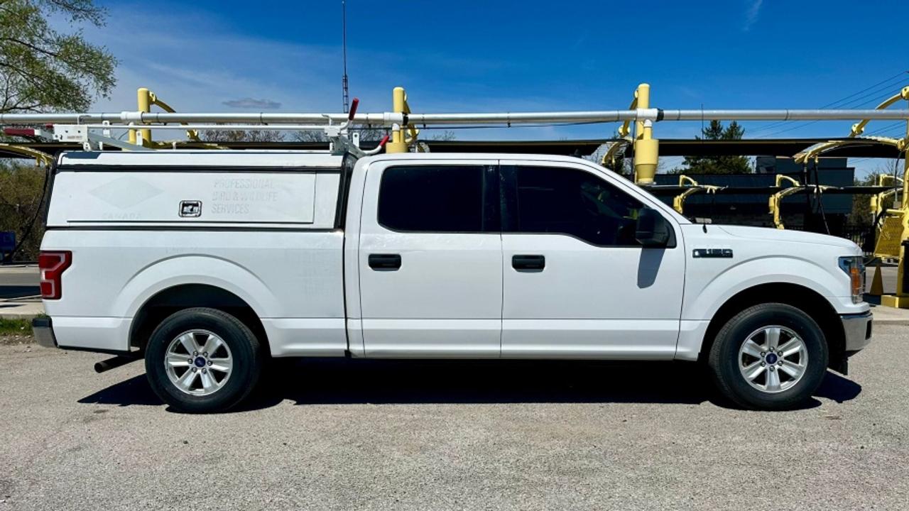 2020 Ford F-150 * XLT * NO ACCIDENTS XLT Photo