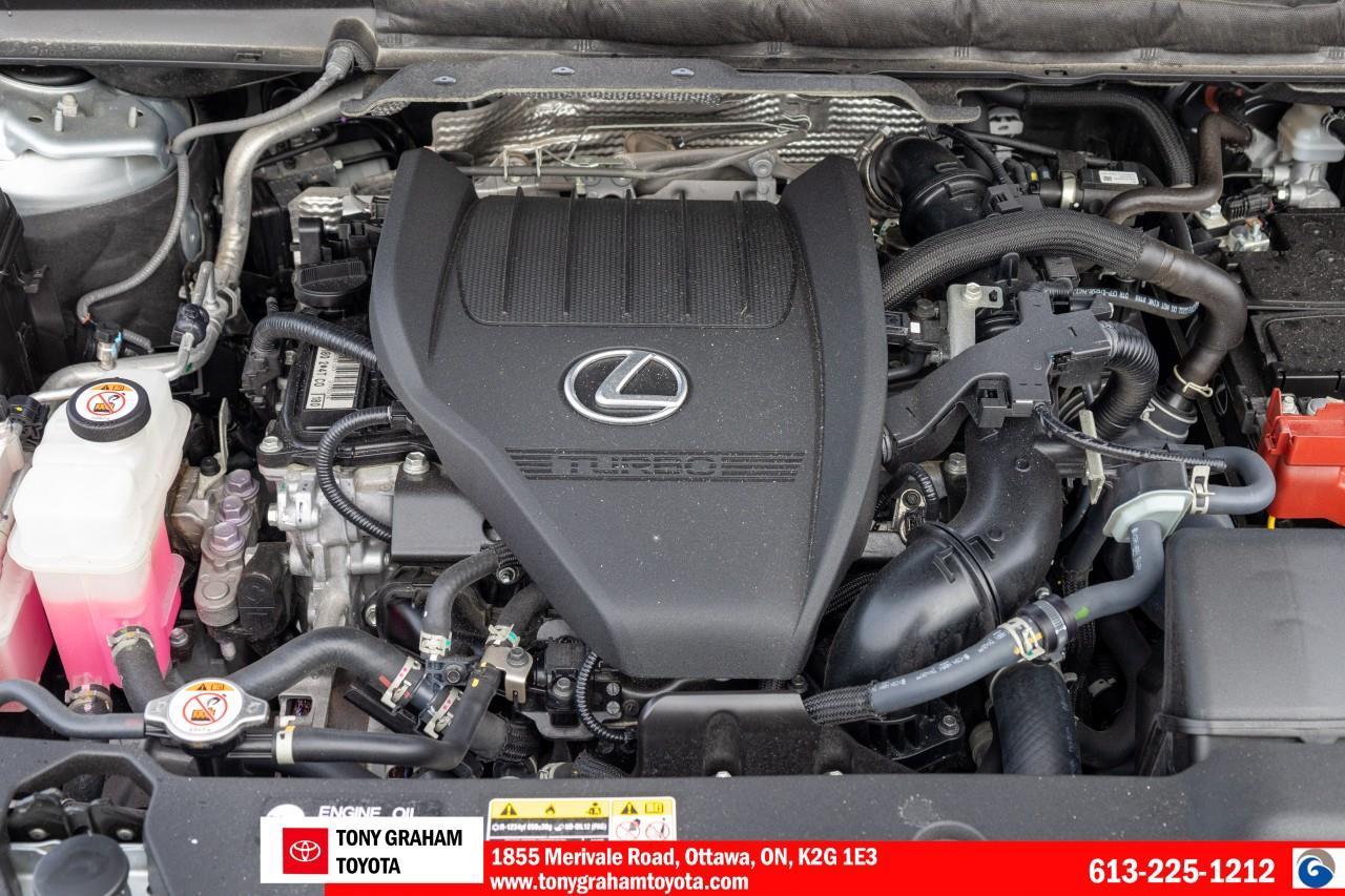 2024 Lexus RX 350 Luxury Pkg., Photo