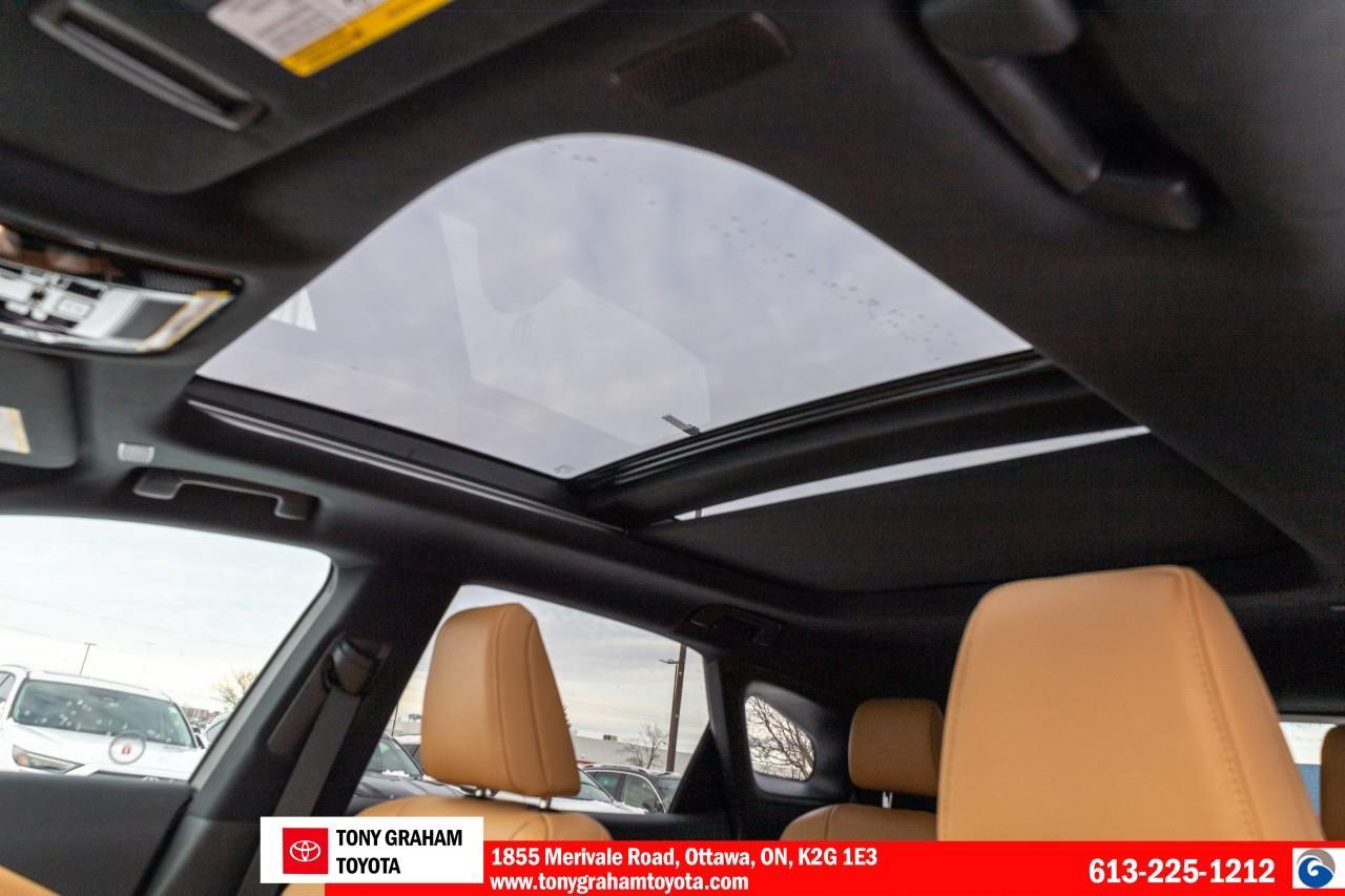 2024 Lexus RX 350 Luxury Pkg., Photo