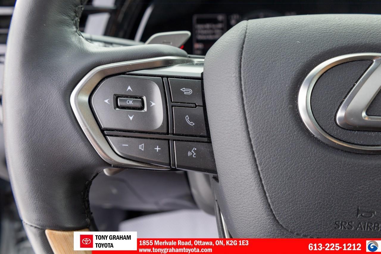 2024 Lexus RX 350 Luxury Pkg., Photo