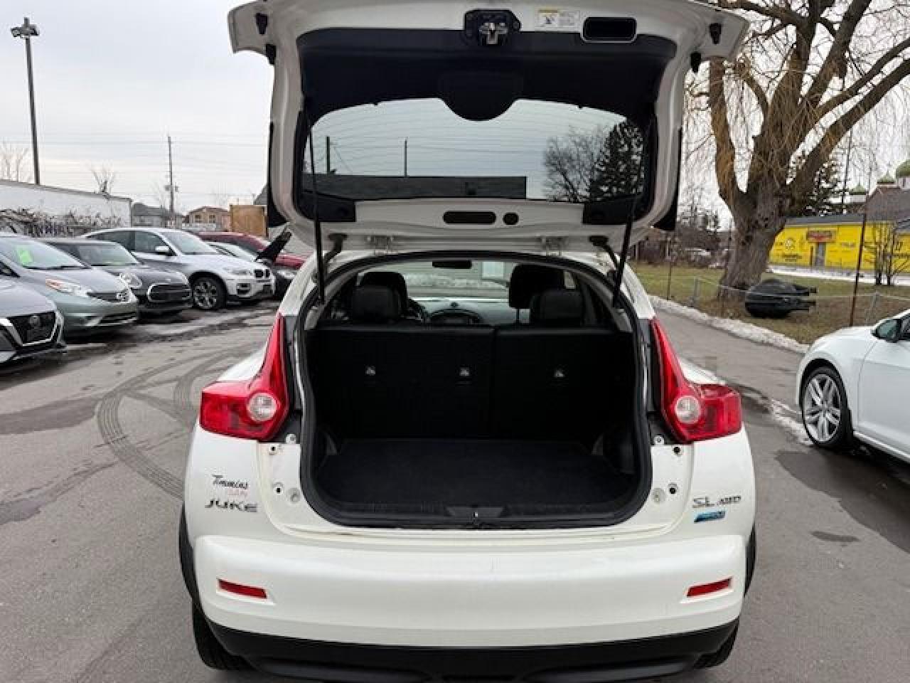 2014 Nissan Juke SL Photo