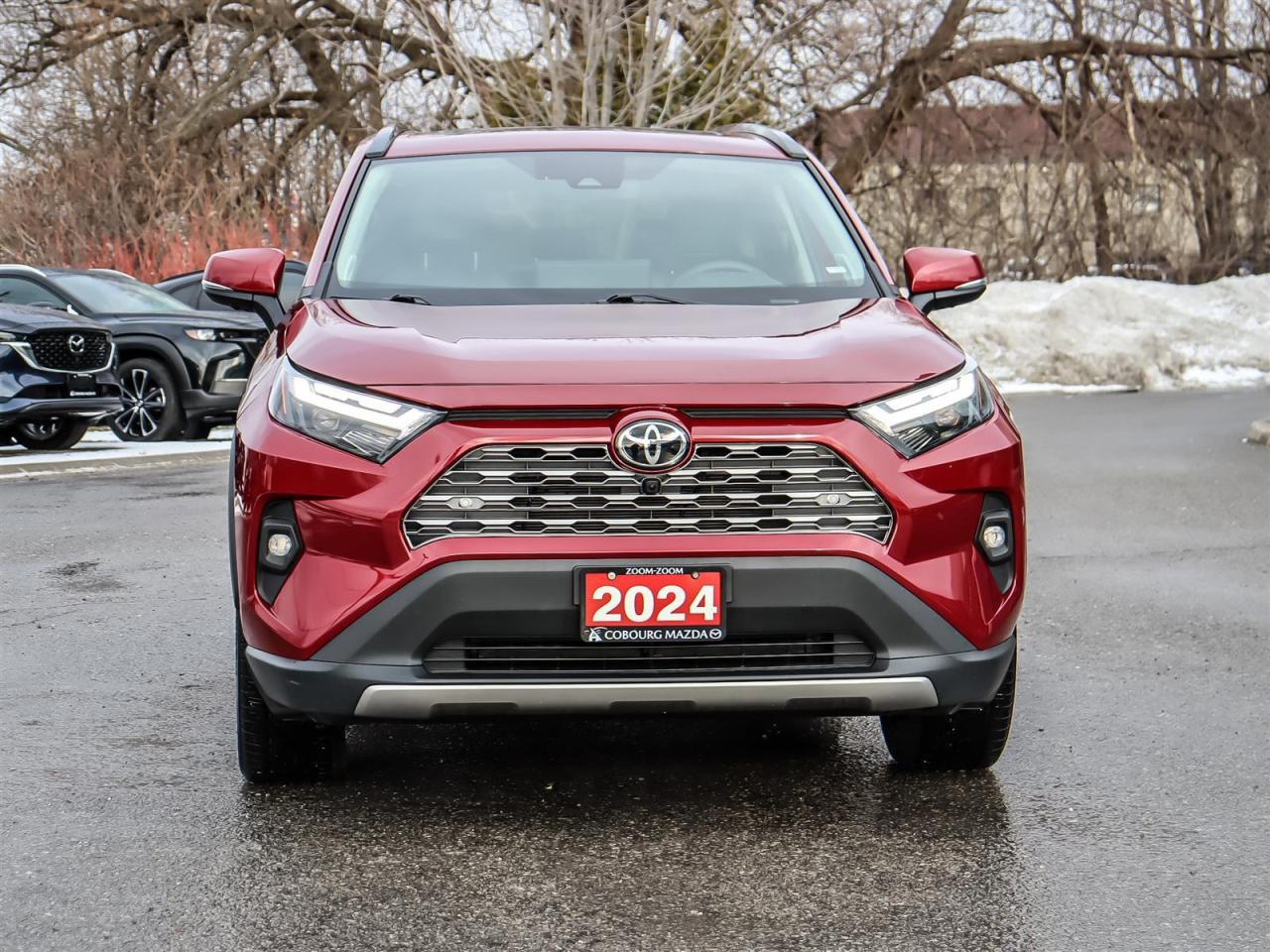 2024 Toyota RAV4 LIMITED AWD Photo