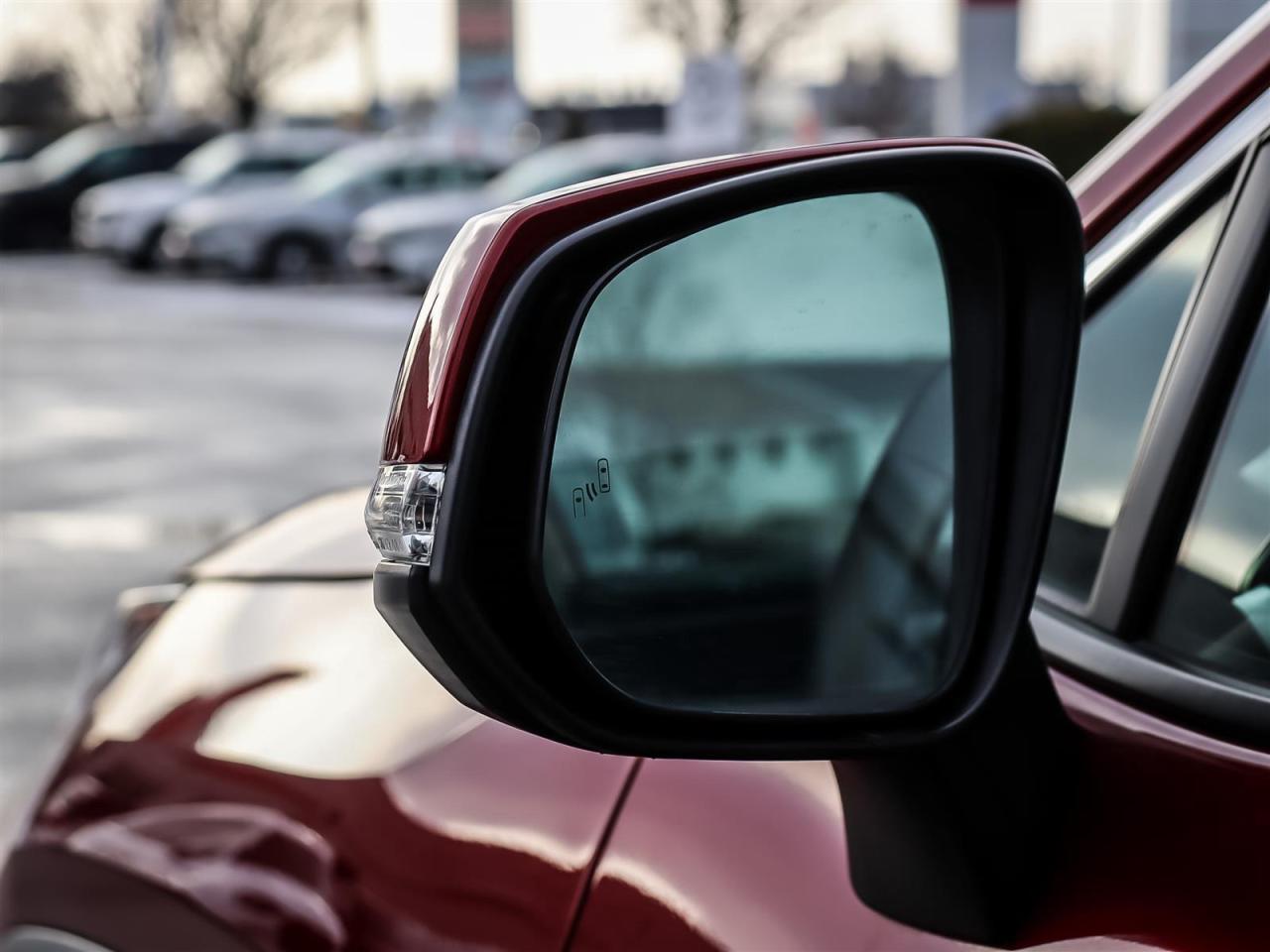 2024 Toyota RAV4 LIMITED AWD Photo