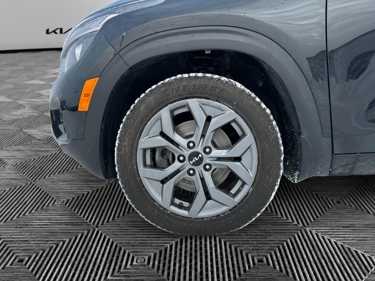 2024 Kia Seltos LX AWD Photo