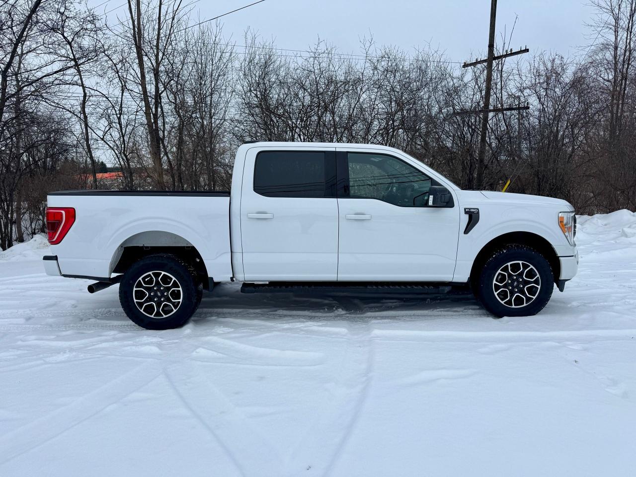 2021 Ford F-150 XLT 4WD 3.5L V6 Ecoboost Clean Carfax | Low Kms Photo