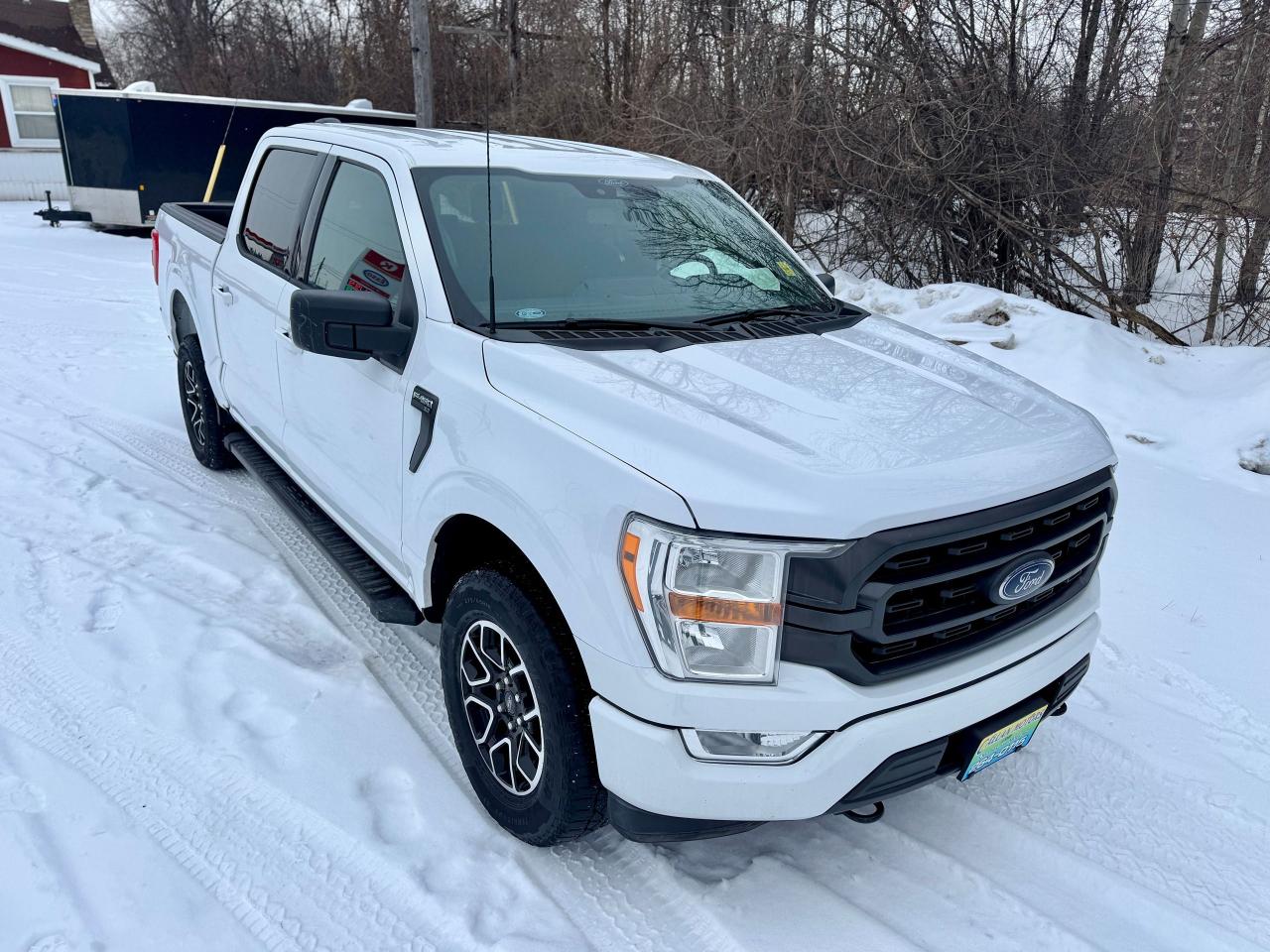 2021 Ford F-150 XLT 4WD 3.5L V6 Ecoboost Clean Carfax | Low Kms Photo
