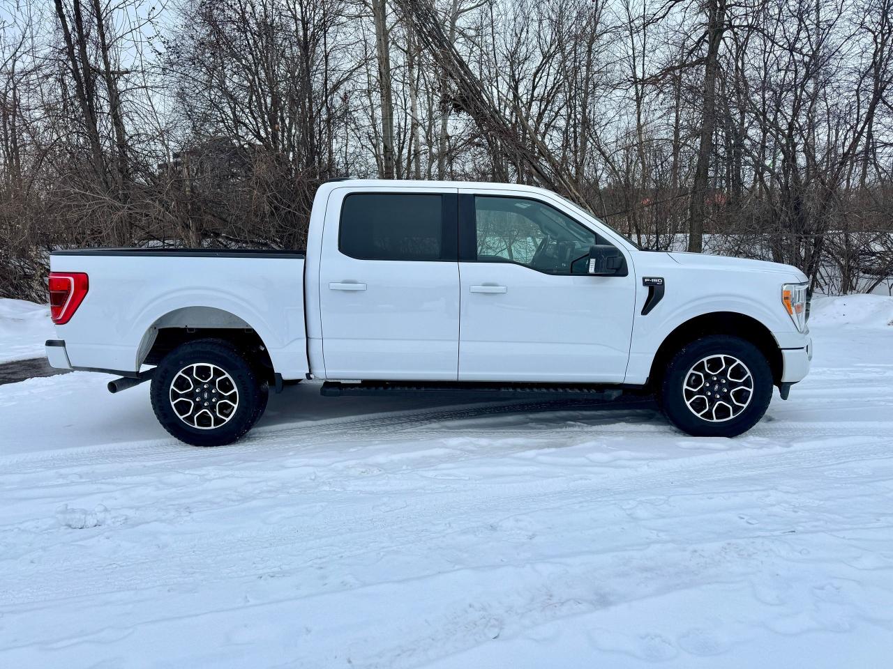2021 Ford F-150 XLT 4WD 3.5L V6 Ecoboost Clean Carfax | Low Kms Photo