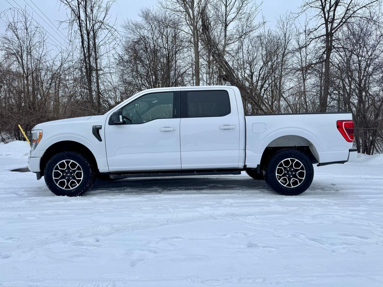 2021 Ford F-150 XLT 4WD 3.5L V6 Ecoboost Clean Carfax | Low Kms Photo