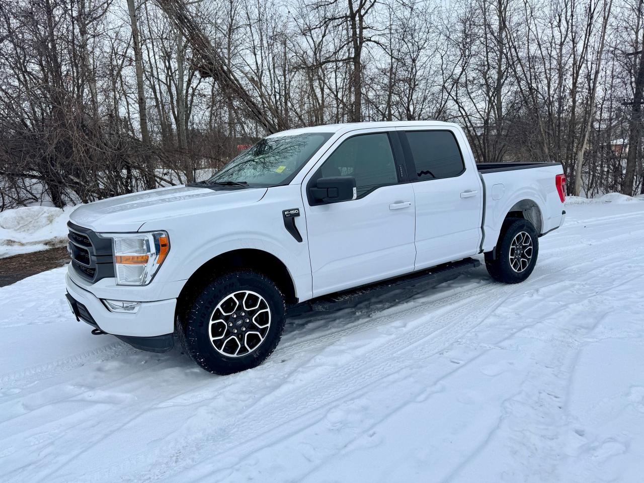 2021 Ford F-150 XLT 4WD 3.5L V6 Ecoboost Clean Carfax | Low Kms Photo