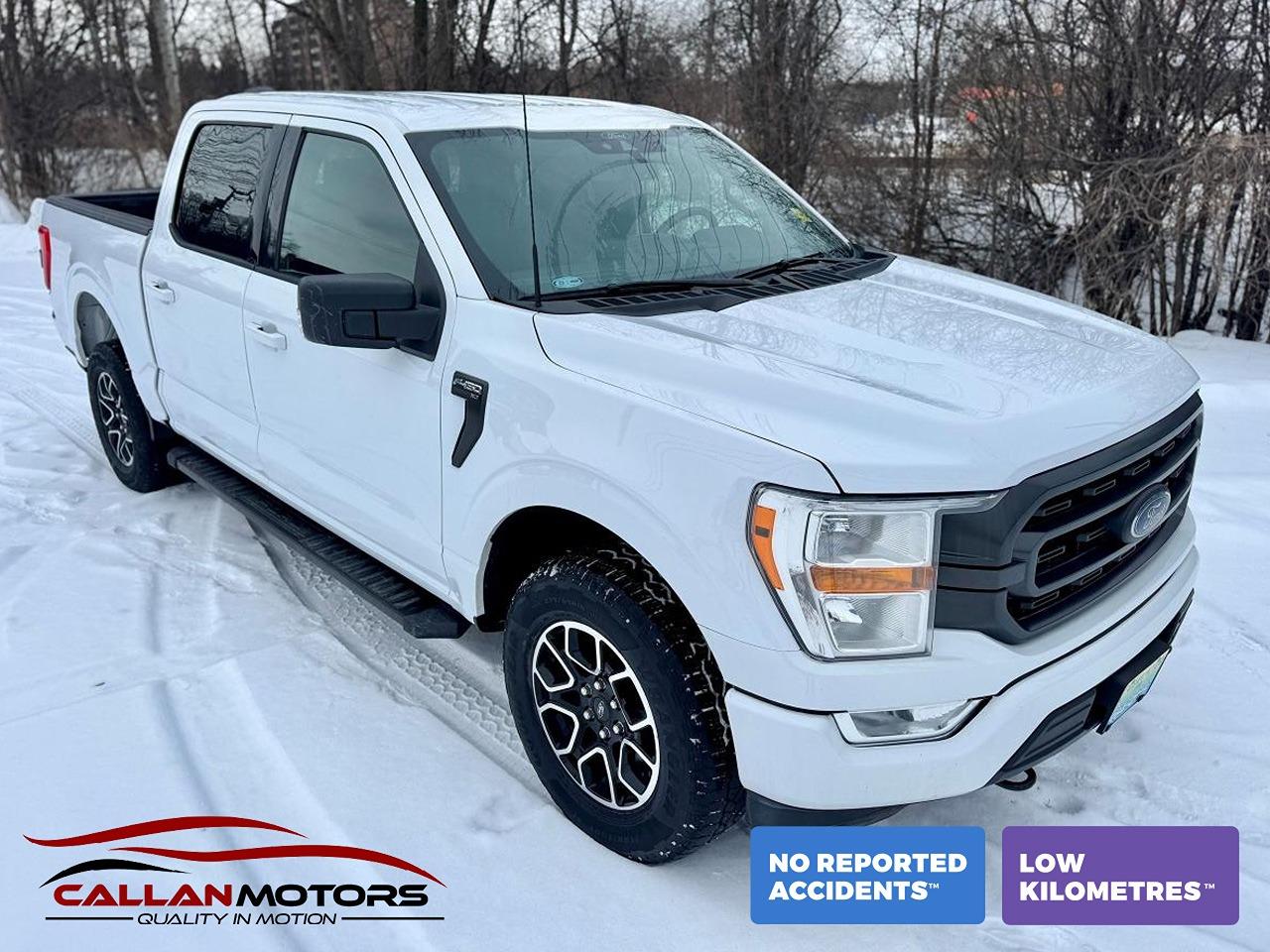 2021 Ford F-150 XLT 4WD 3.5L V6 Ecoboost Clean Carfax | Low Kms - Photo #1