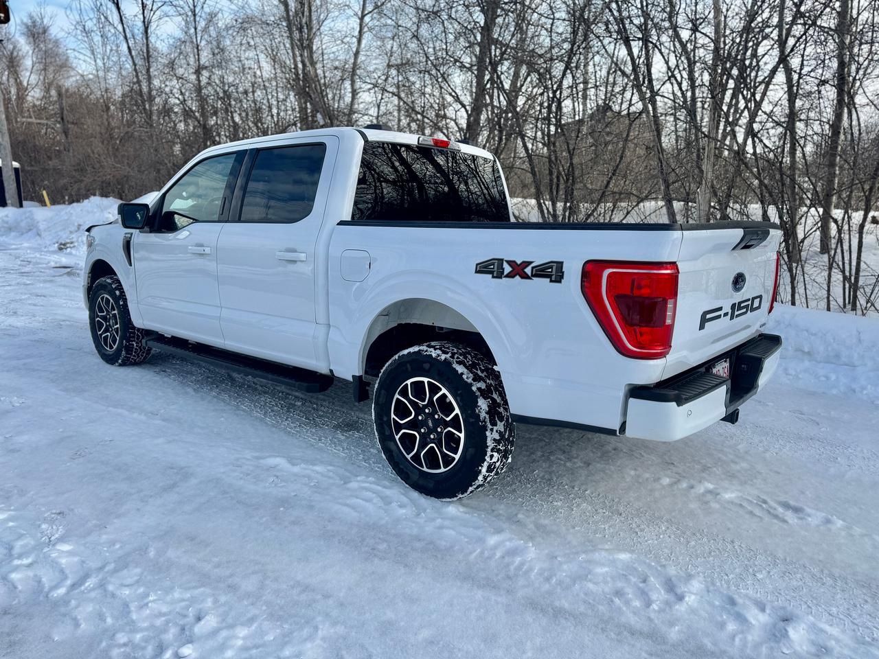 2021 Ford F-150 XLT 4WD 3.5L V6 Ecoboost Clean Carfax | Low Kms Photo