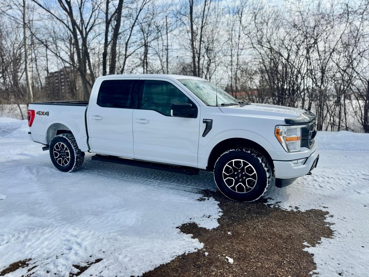 2021 Ford F-150 XLT 4WD 3.5L V6 Ecoboost Clean Carfax | Low Kms Photo