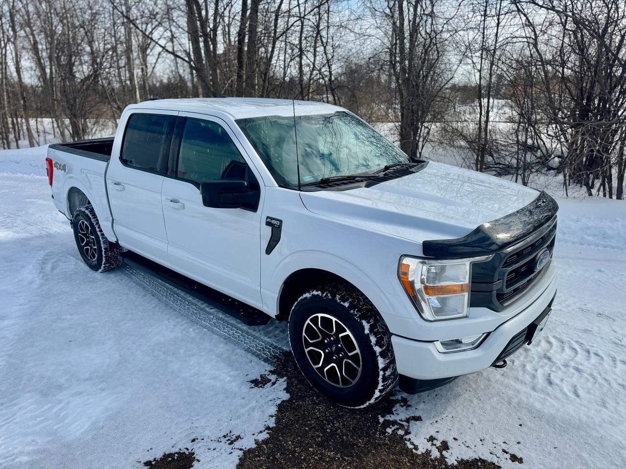 2021 Ford F-150 XLT 4WD 3.5L V6 Ecoboost Clean Carfax | Low Kms Photo