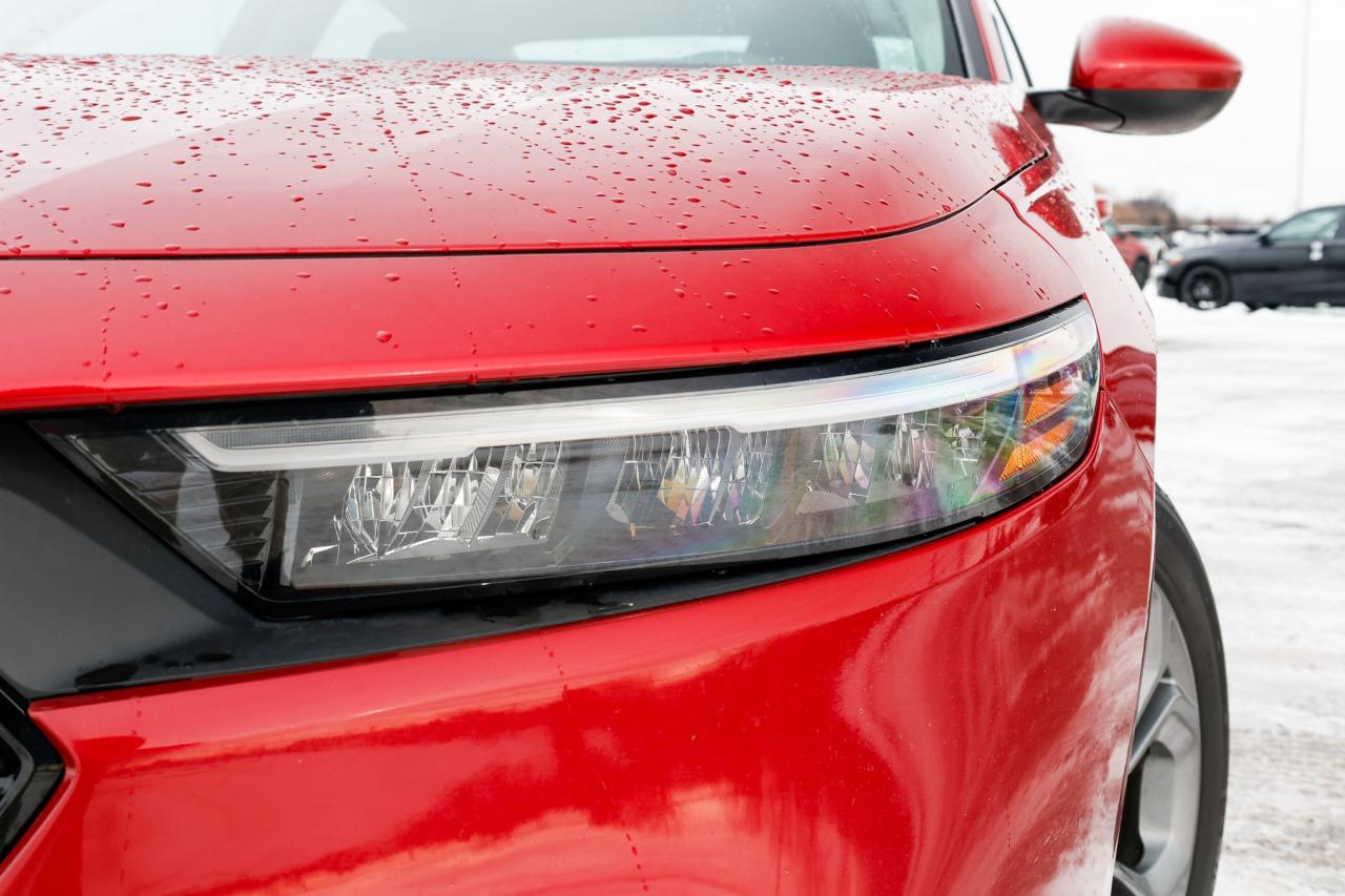 2023 Honda Accord EX 4DR SEDAN Photo