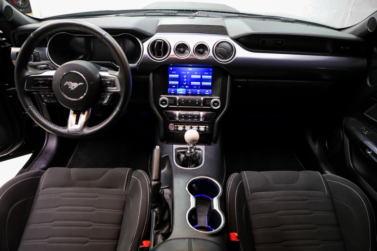 2022 Ford Mustang MACH 1 5.0L 470HP MANUAL HANDLINGPKG RECARO LOWKM Photo