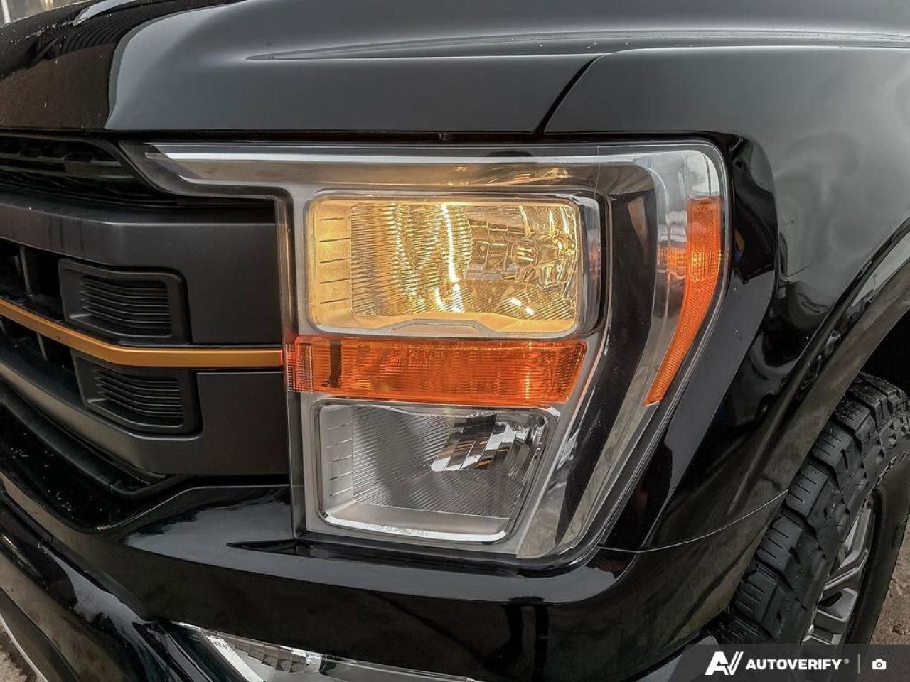 2022 Ford F-150 Tremor   3.5L V6   REAR CAMERA   FORDPASS 3.5L V6 Photo