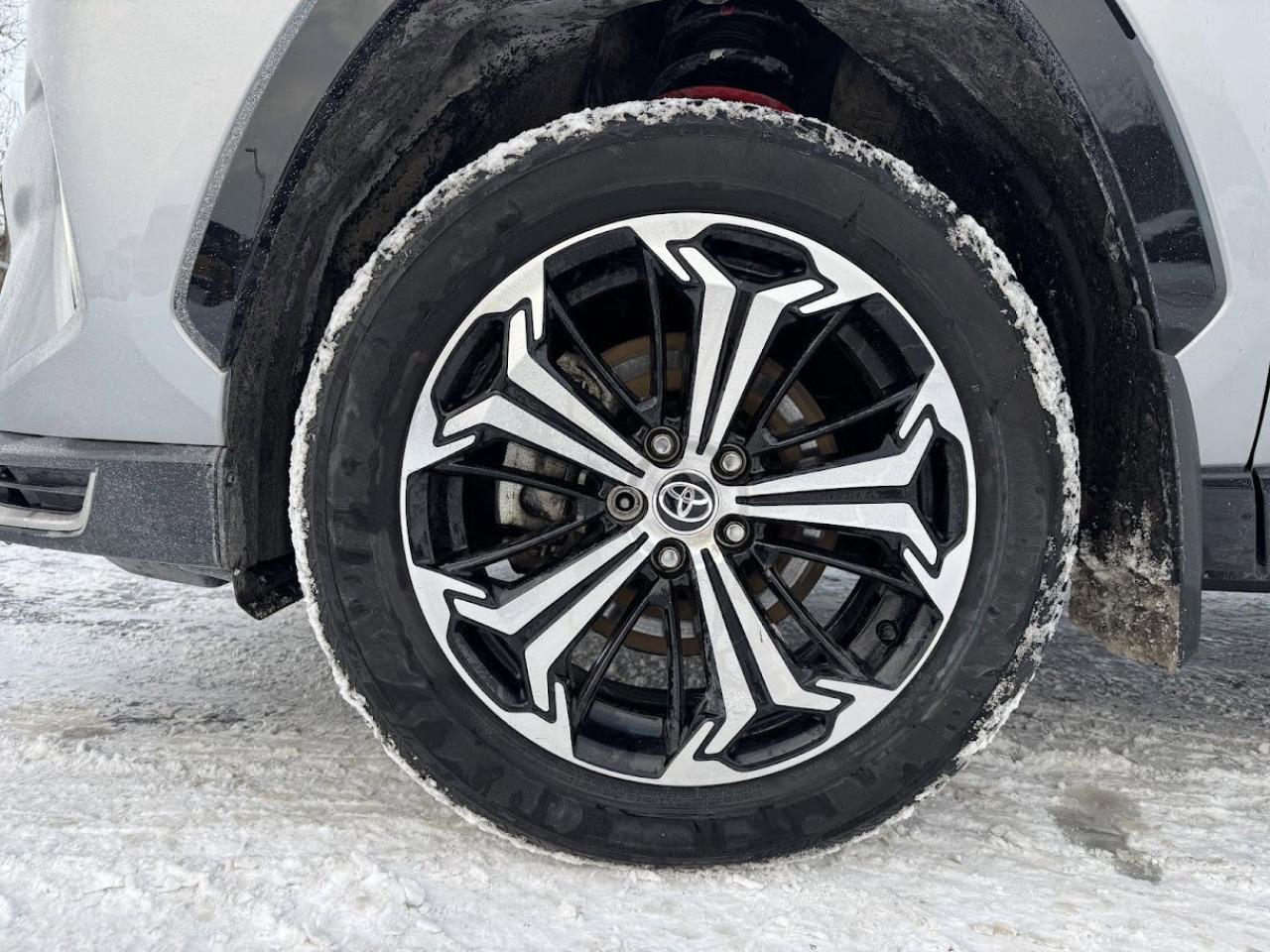 2023 Toyota RAV4 Prime  Photo