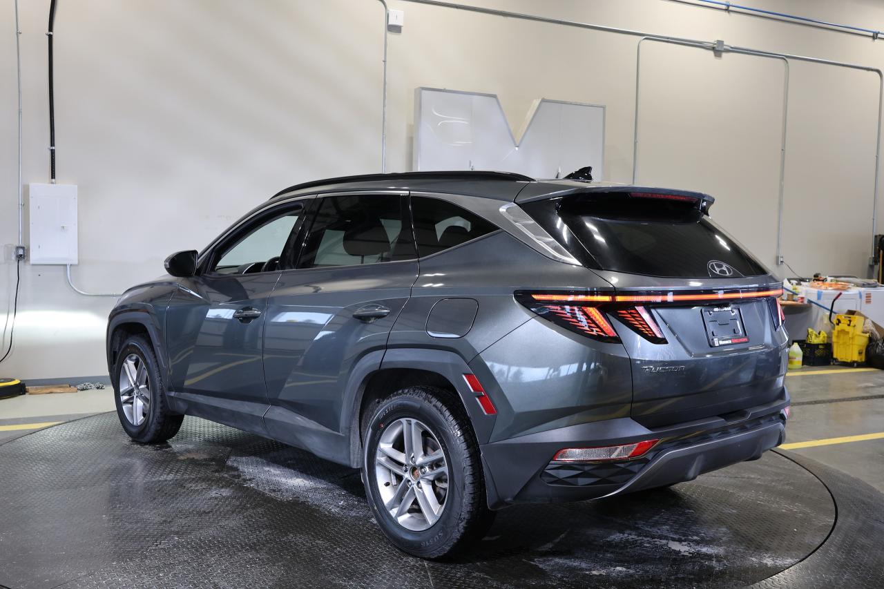 2024 Hyundai Tucson TREND AWD - LEATHER|PANO|NAVI|CAMERA|BLINDSPOT Photo