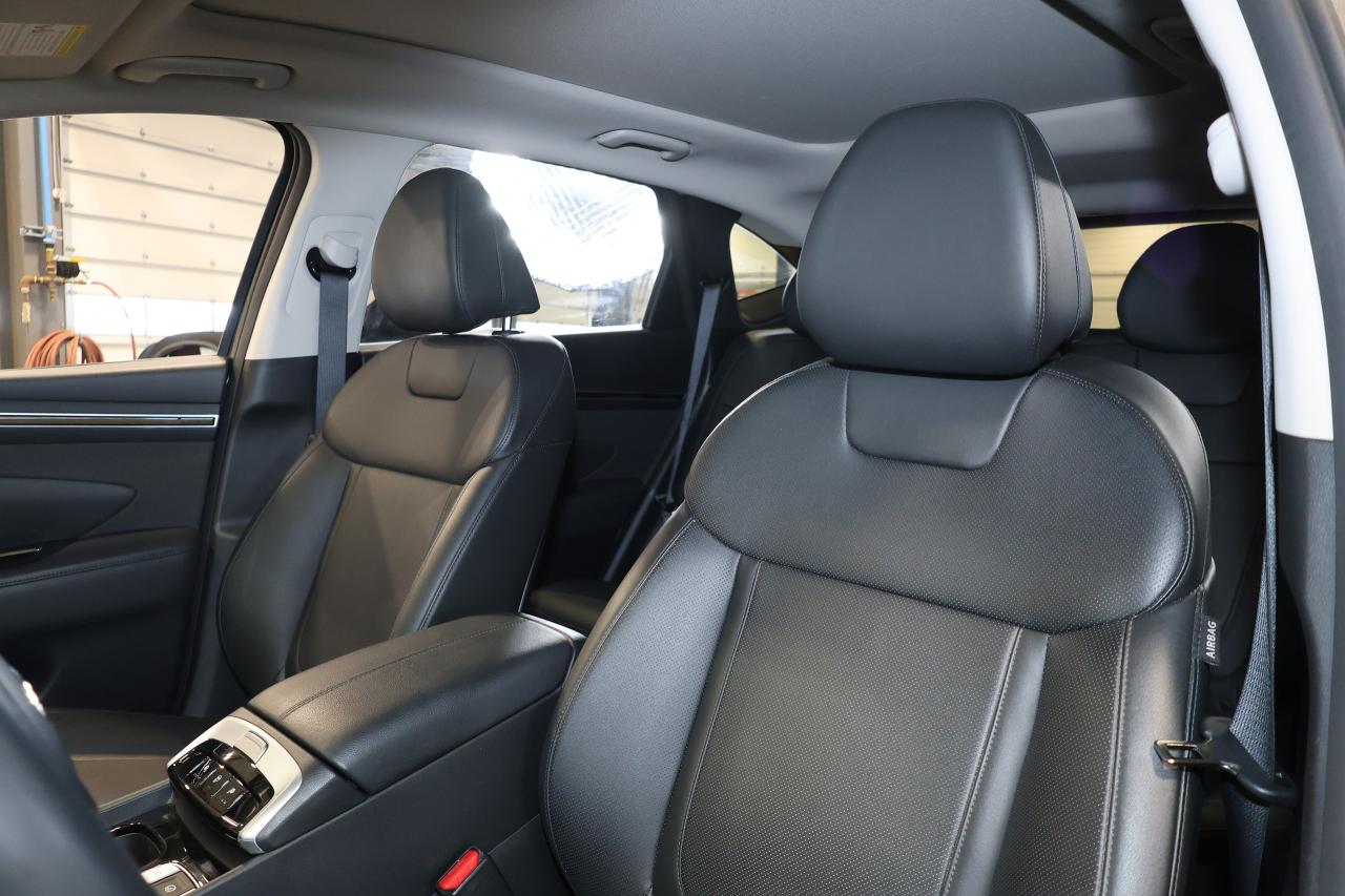 2024 Hyundai Tucson TREND AWD - LEATHER|PANO|NAVI|CAMERA|BLINDSPOT Photo