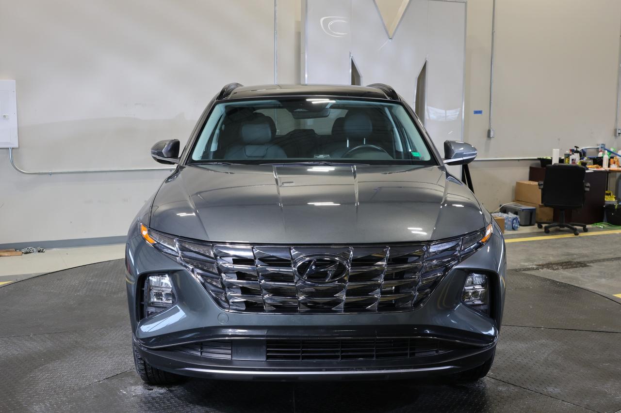 2024 Hyundai Tucson TREND AWD - LEATHER|PANO|NAVI|CAMERA|BLINDSPOT Photo