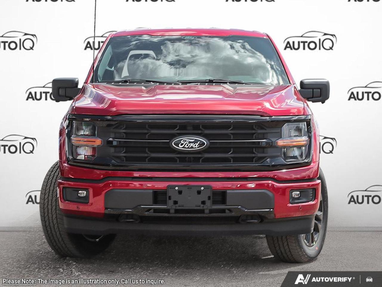 2025 Ford F-150 XLT Photo