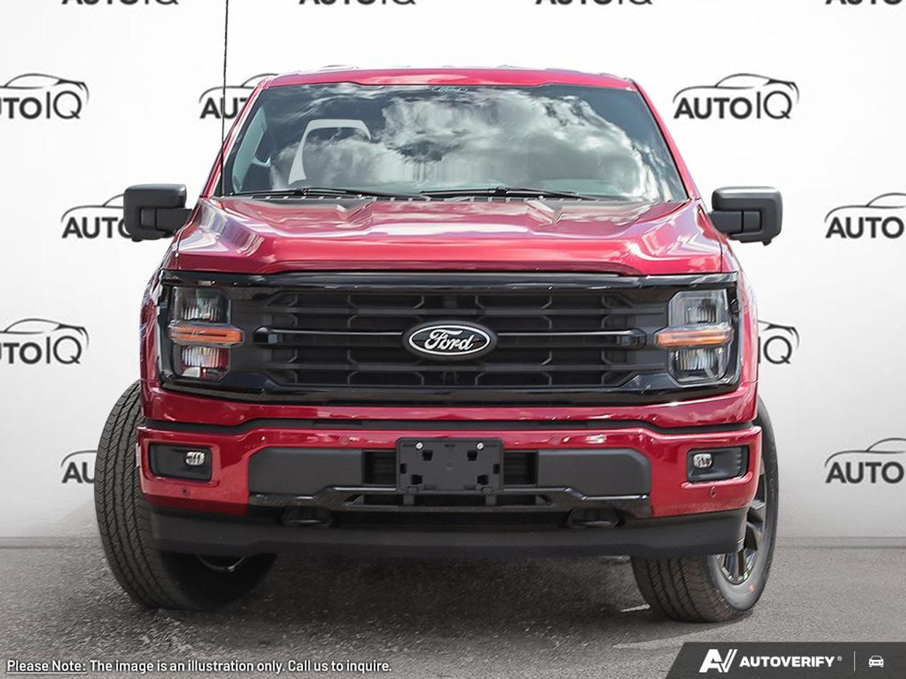2025 Ford F-150 XLT Photo