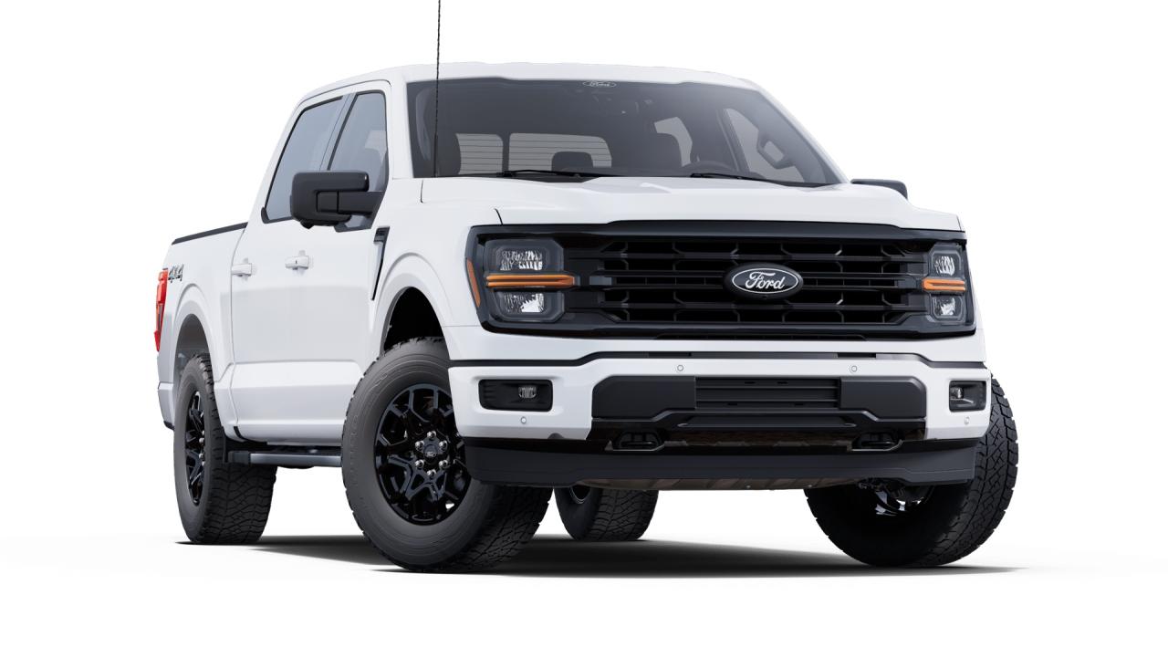 2025 Ford F-150 XLT 4WD SuperCrew 5.5' Box Photo3