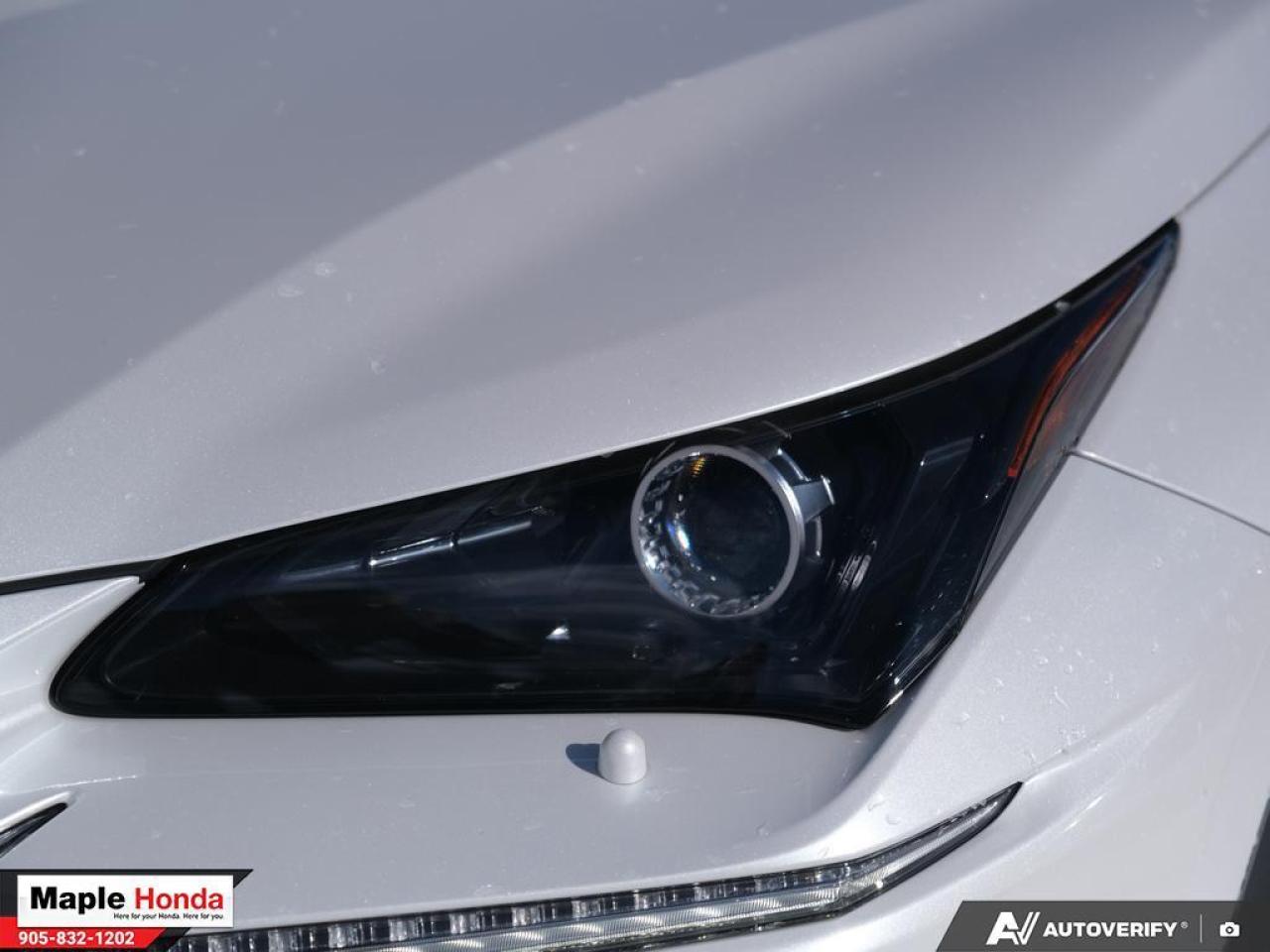 2021 Lexus NX Leather Seats| Sunroof| Heated Seats| Good Conditi Photo