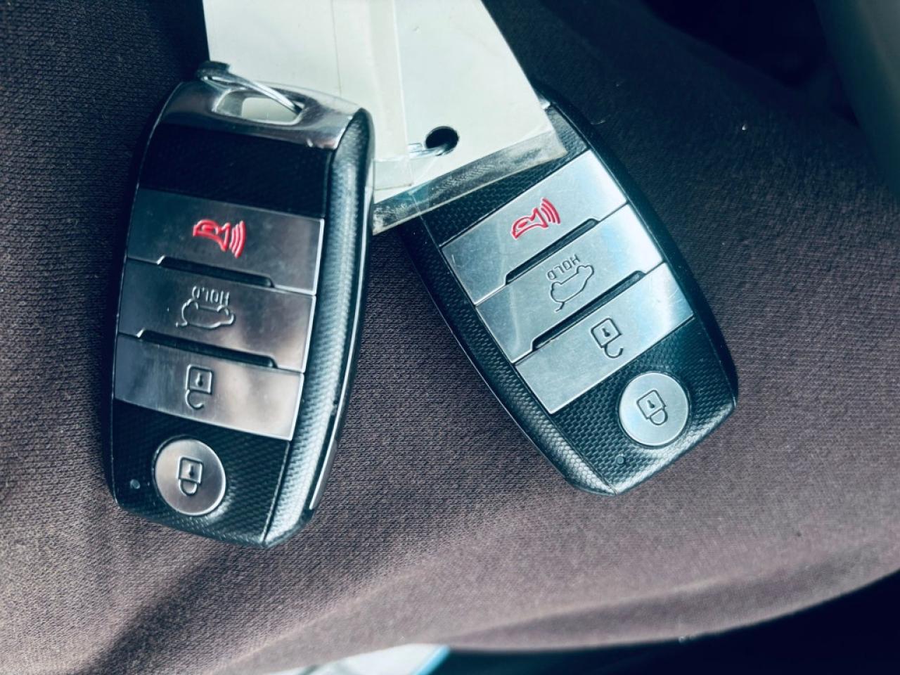 2018 Kia Soul EV EV Luxury Automatic Photo