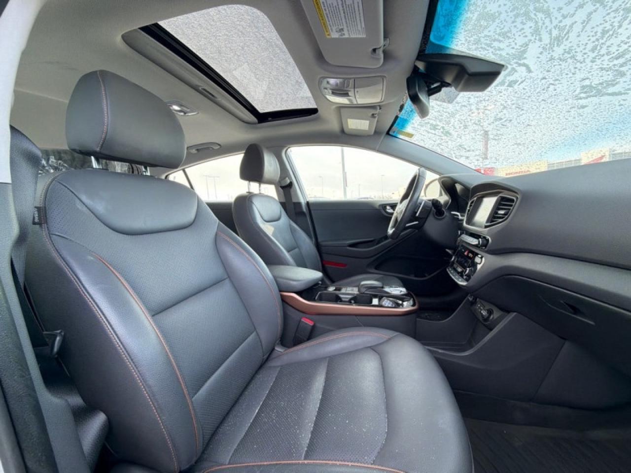 2019 Hyundai IONIQ Electric Ultimate Hatchback Photo