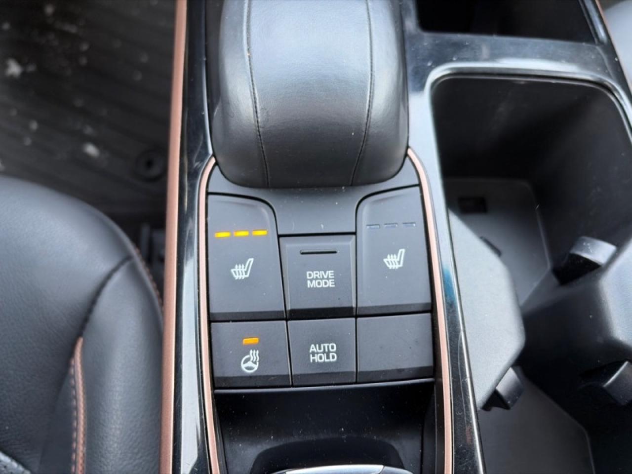 2019 Hyundai IONIQ Electric Ultimate Hatchback Photo