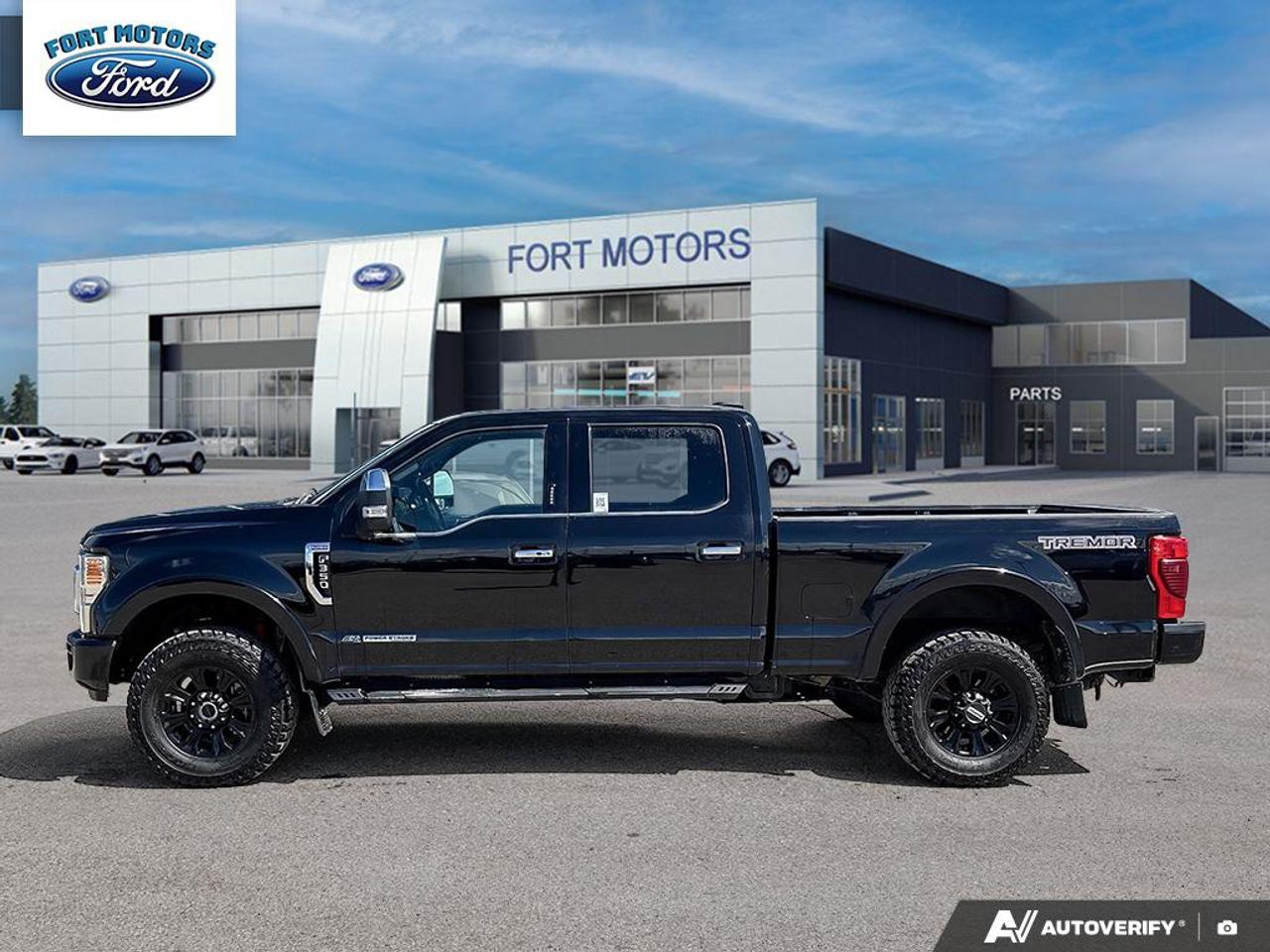 2022 Ford SUPER DUTY F-350 SRW Platinum Photo3